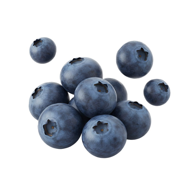 Premium Hookah Flavors